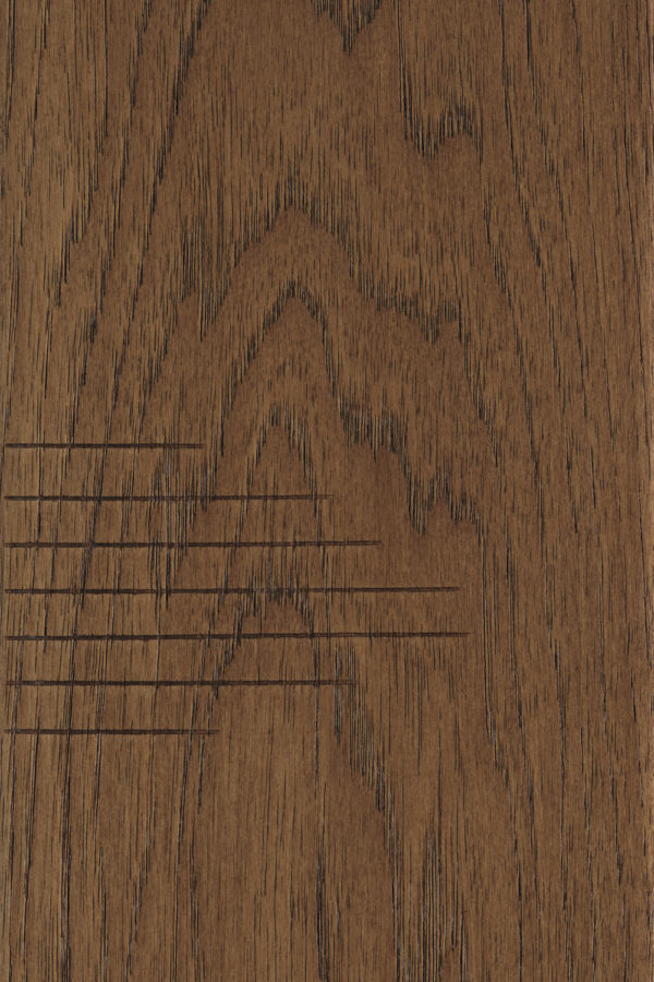 Vintage Bryce Canyon Floor Sample 4