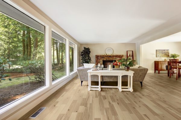 Spacious bright living room with glass wall