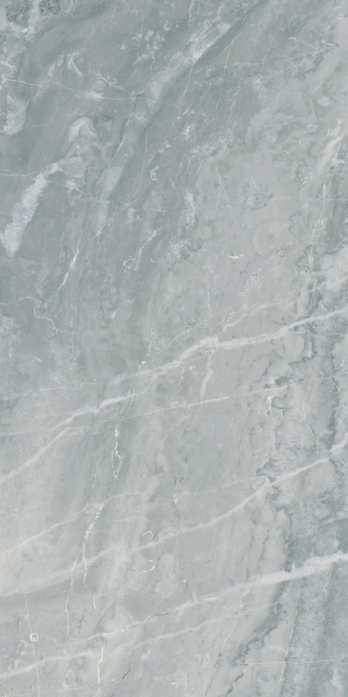 Storm Gray 12x24 Swatch