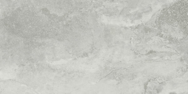 Endless_Warm_Gray_12x24_02