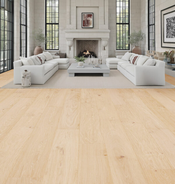 Sand Bar_Room Scene